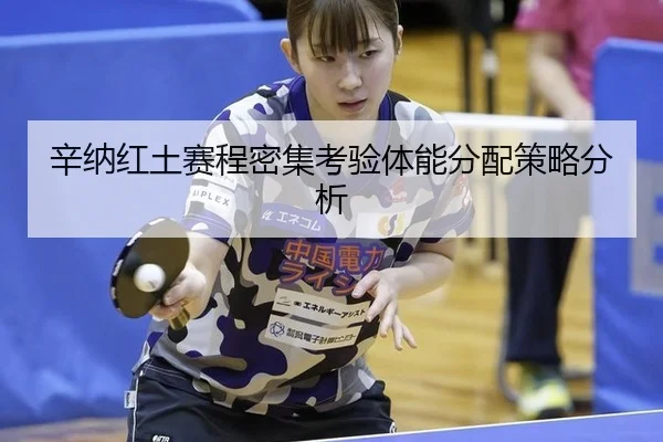 xin-na-hong-tu-sai-cheng-mi-ji-kao-yan-ti-neng-fen-pei-ce-lve-fen-xi-1-500.jpg